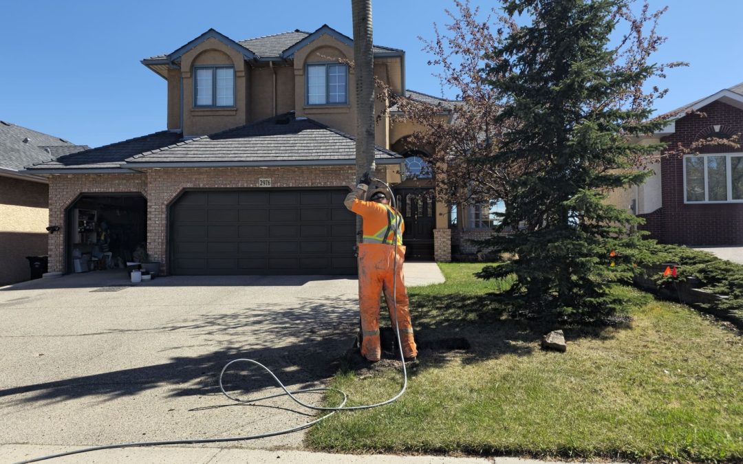 Water Service Line Repair in Calgary: What Homeowners Need to Know
